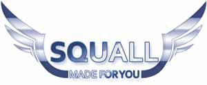 Squall Coin Coin Logo